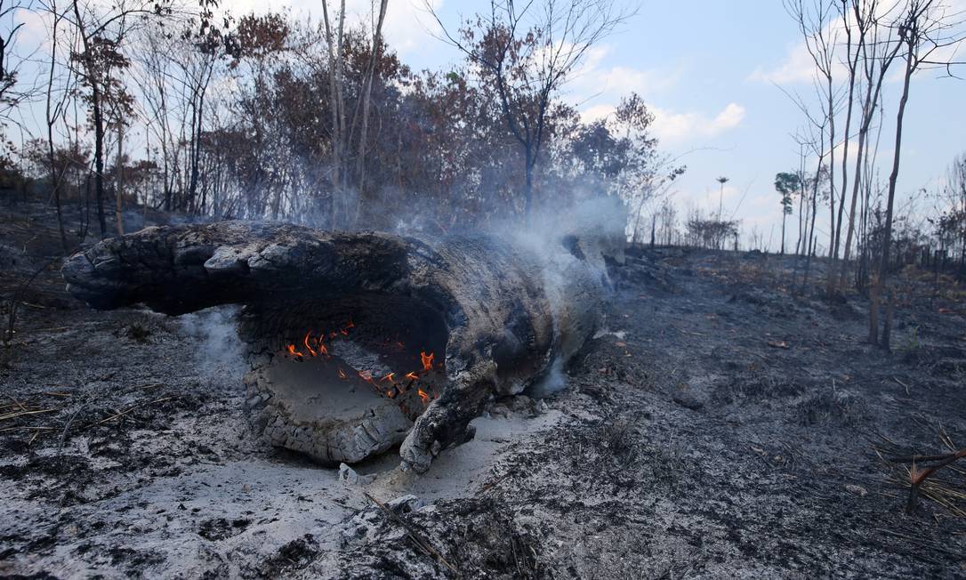 Tronco queima em área desmatada na Floresta Nacional do Jamanxim, na Amazônia, próximo ao município de Novo Progresso, no estado do Pará. Foto: Amanda Perobelli / Reuters
