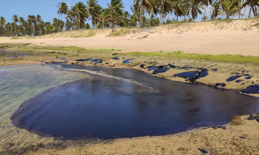 Blocos de óleo cru tomaram conta de parte da Praia do Forte na manhã desta sexta-feira (11) Foto: Carlos Valério Mendonça / Oceanauta