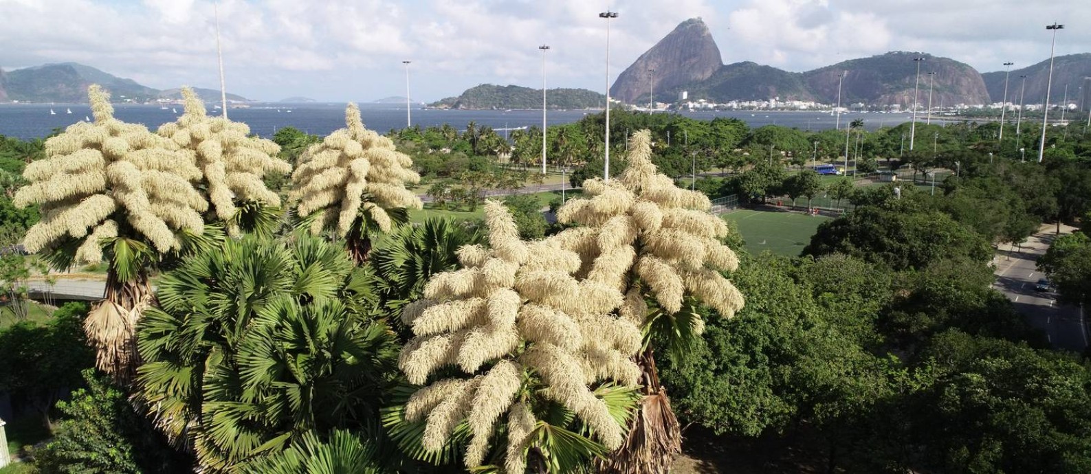 Um parque para chamar de seu. Relembre como era criar seu próprio