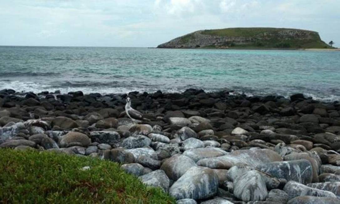 ‘Nada poderia ser pior que óleo chegar a Abrolhos’, dizem pesquisadores sobre risco a santuário marítimo na rota de mancha de petróleo