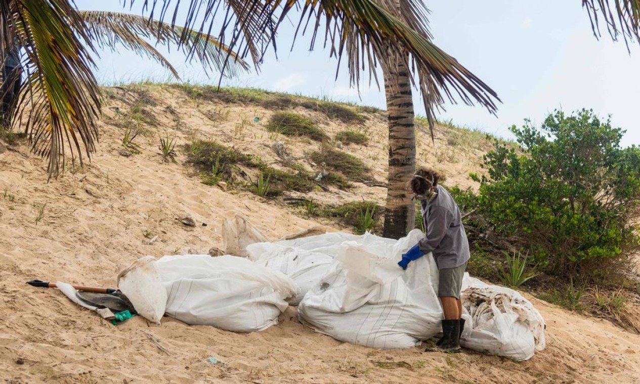 Óleo seco é armazenado em grandes bolsas por pescaddor da comunidade de Pocas, no município de Conde, Bahia Foto: Mateus Morbeck / AFP