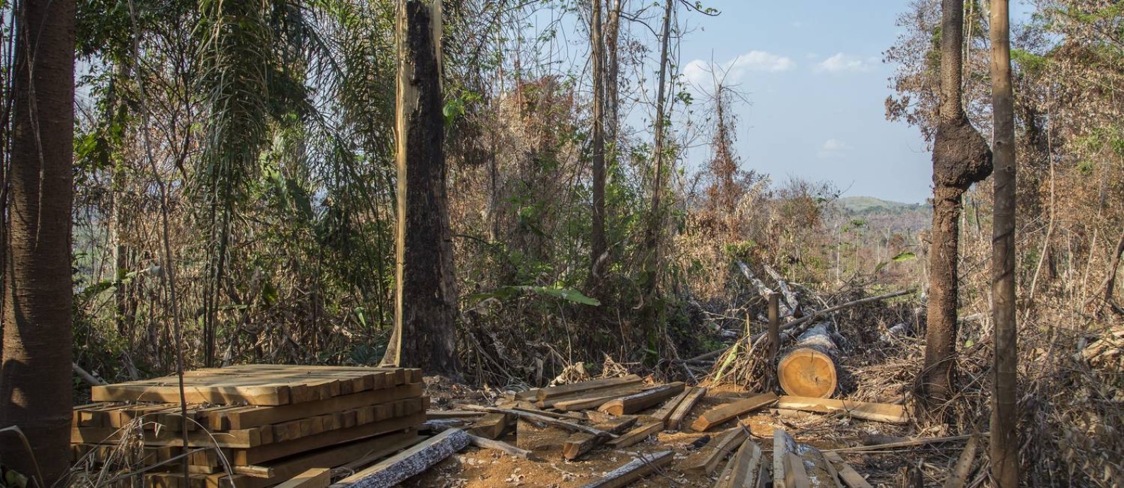 Desmatamento e queimadas consomem a floresta no município de Altamira, no Pará Foto: Edilson Dantas / Agência O Globo