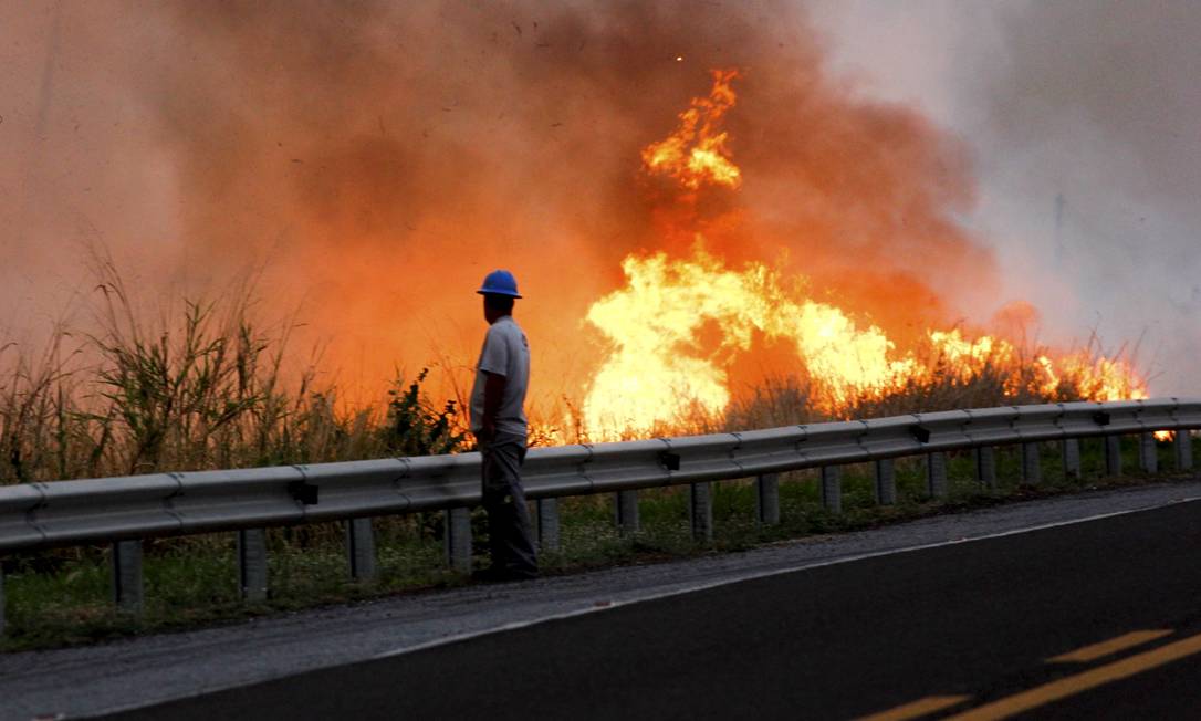 Incêndio à beira da BR-262, no Mato Grosso do Sul Foto: Chico Ribeiro / Governo do Estado do MS 