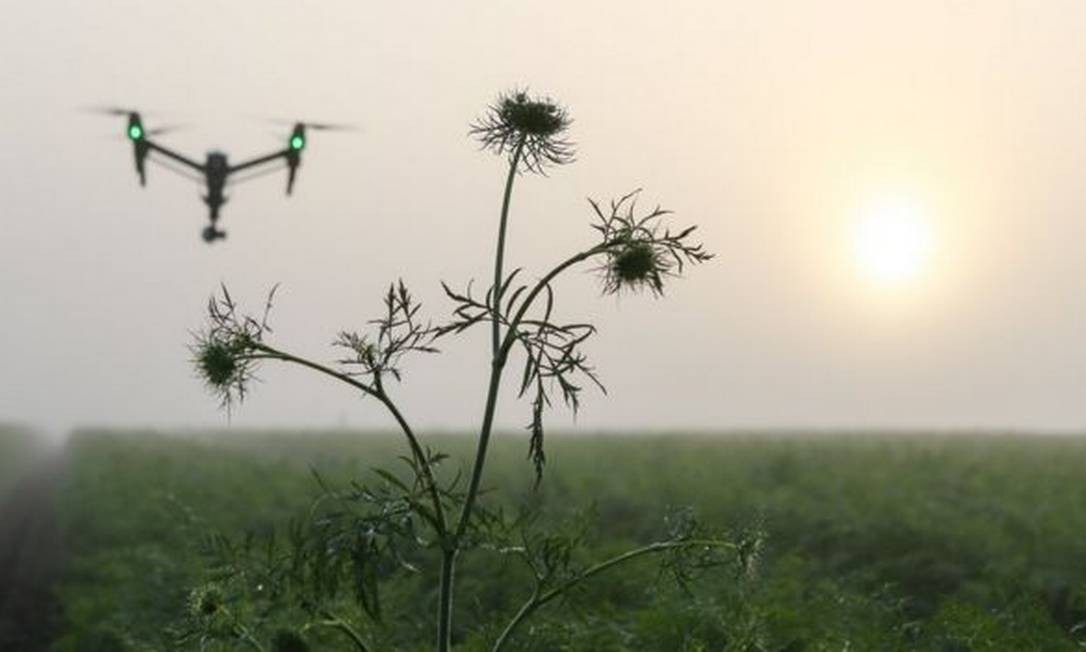 Seguranças privados e policiais acreditam que quadrilhas estejam usando drones para localizar depósitos de agrotóxicos em fazendas Foto: Getty Images