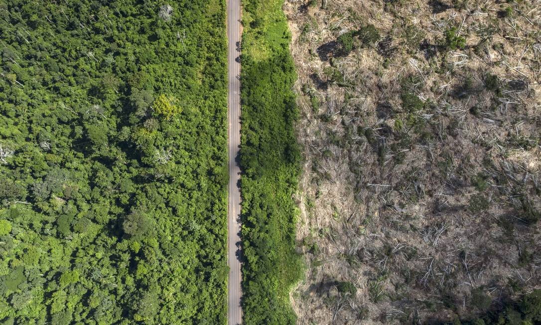 Estudo: Amazônia teve maior perda de floresta desde 2008