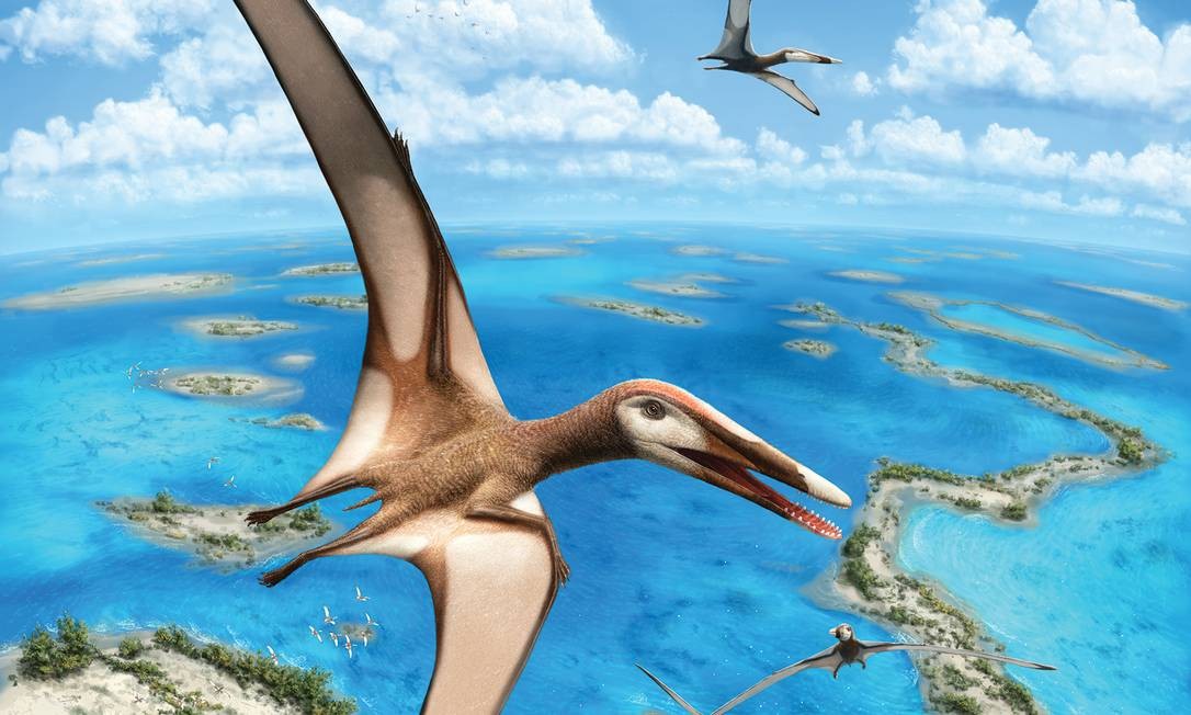 Ilustração do 'Mimodactylus libanensis': pterossauro se alimentava de crustáceos Foto: Divulgação/Julius T. Csotonyi
