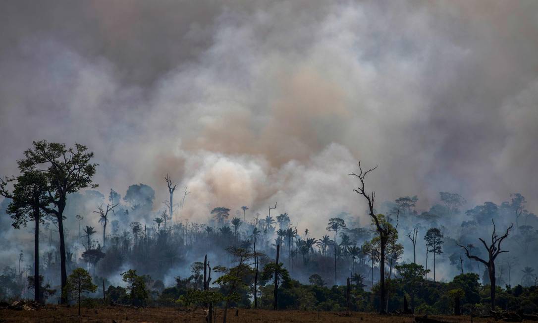 Amazônia queima em Altamira, no Pará Foto: JOAO LAET / AFP