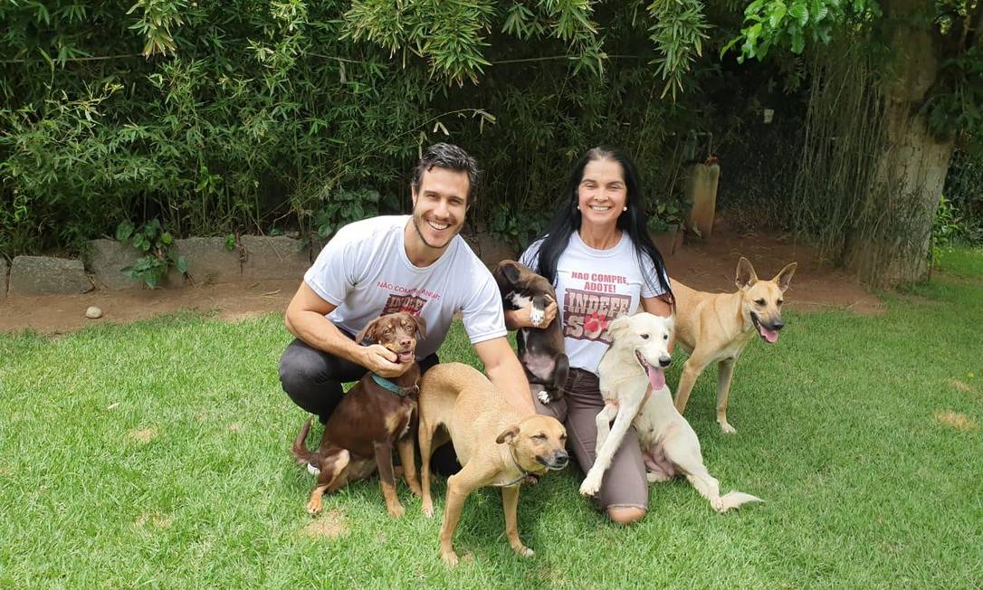 O ator Emiliano d’Avila e a protetora Rosana Guerra, da ONG Indefesos, com animais que poderão ser adotados hoje, na Praça do Ó Foto: Divulgação