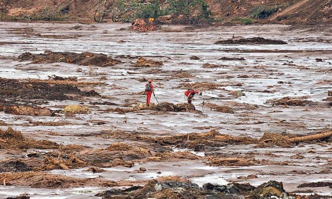 Meio ambiente teve o pior ano de sua história no Brasil