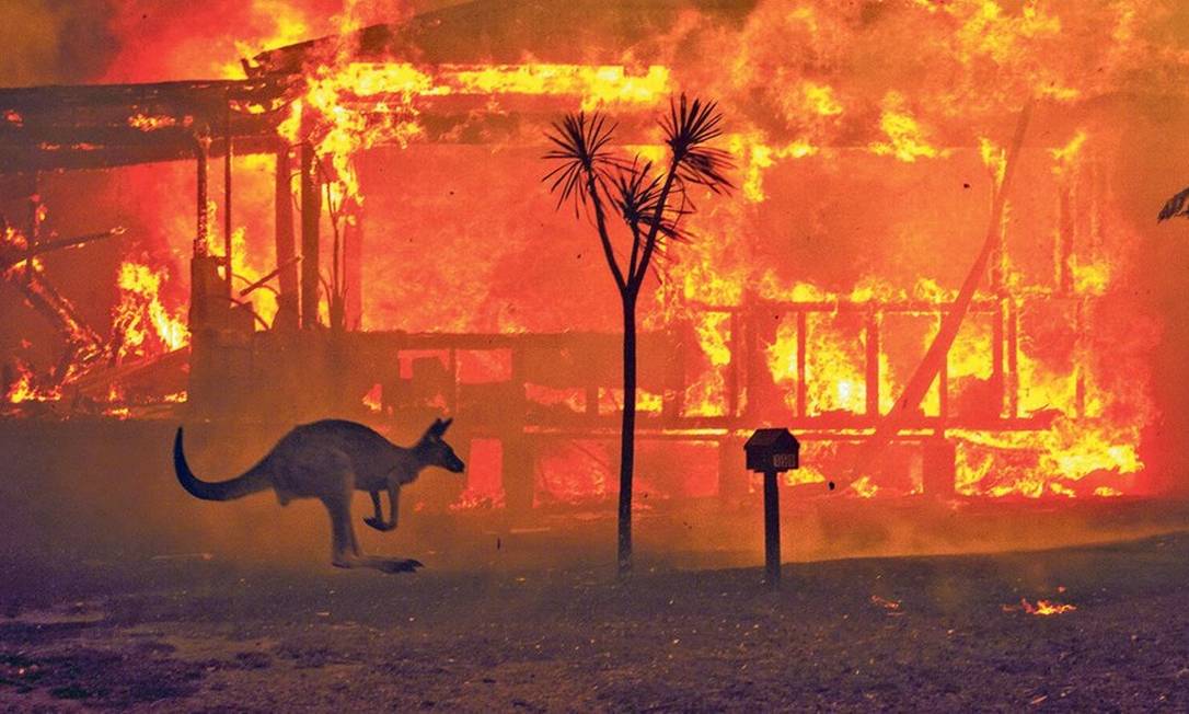 Canguru foge das chamas em Nova Gales do Sul: segundo a Universidade de Sydney, quase meio bilhão de animais morreram apenas no estado, estimativa considerada ‘conservadora’ Foto: Matthew Abbott/The New York Times/31-12-2019