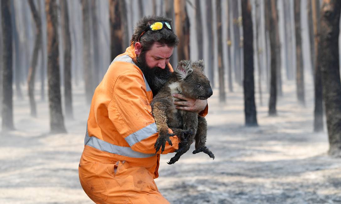 Muitos animais que sobrevivem ao fogo morrem por falta de refúgio, segundo especialistas Foto: Stringer. / REUTERS
