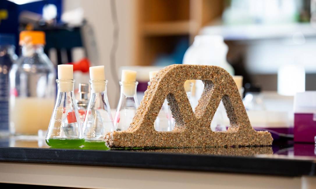 As cianobactérias são mantidas vivas na mistura de areia com hidrogel Foto: College of Engineering and Applied Science at Colorado University Boulder