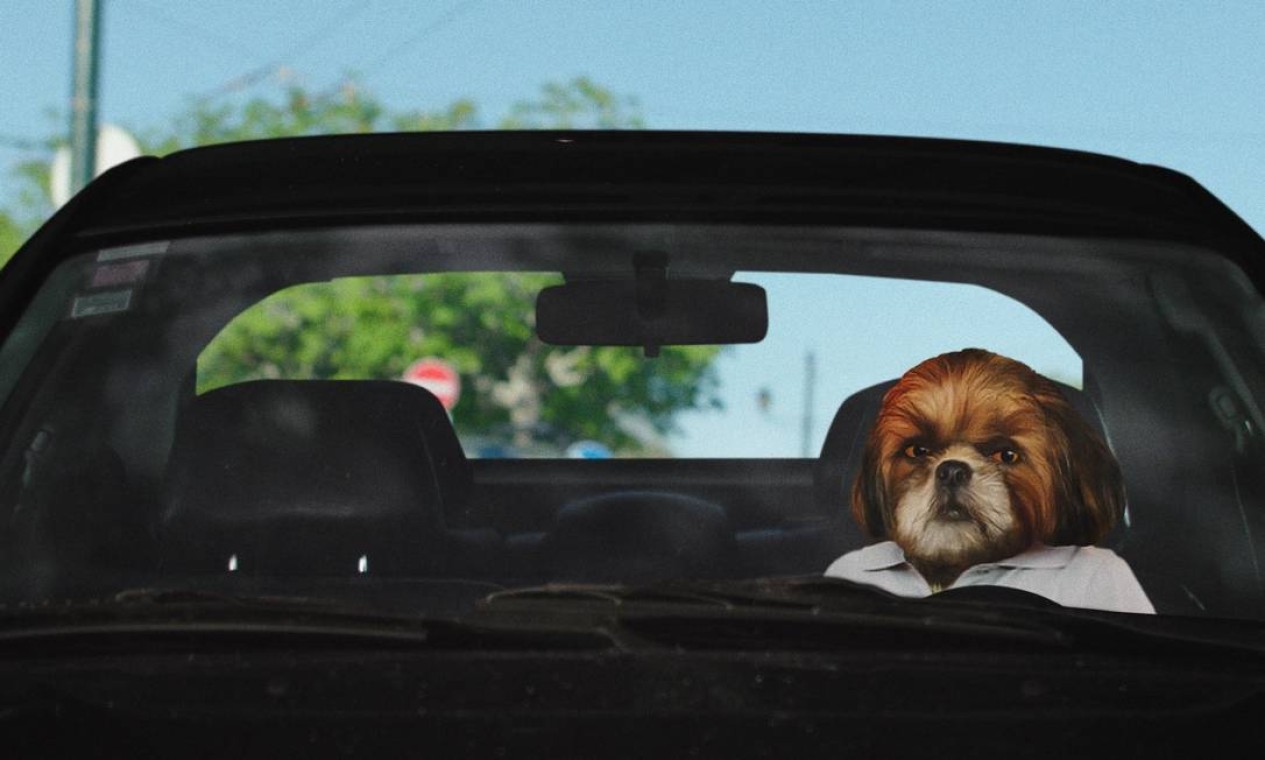 Bruno Aleixo, ídolo português do humor, chega às telas de cinema no ...
