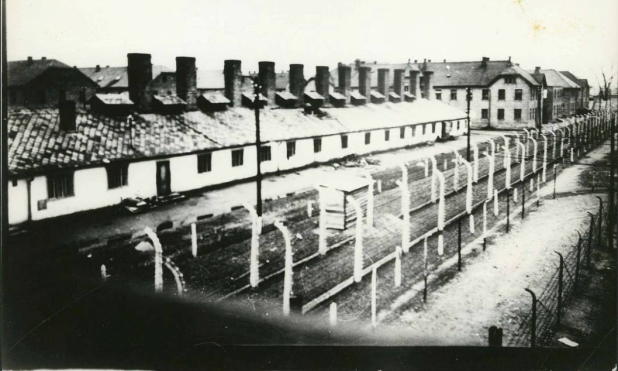 Veja fotos do campo de Auschwitz após a libertação de prisioneiros, em ...