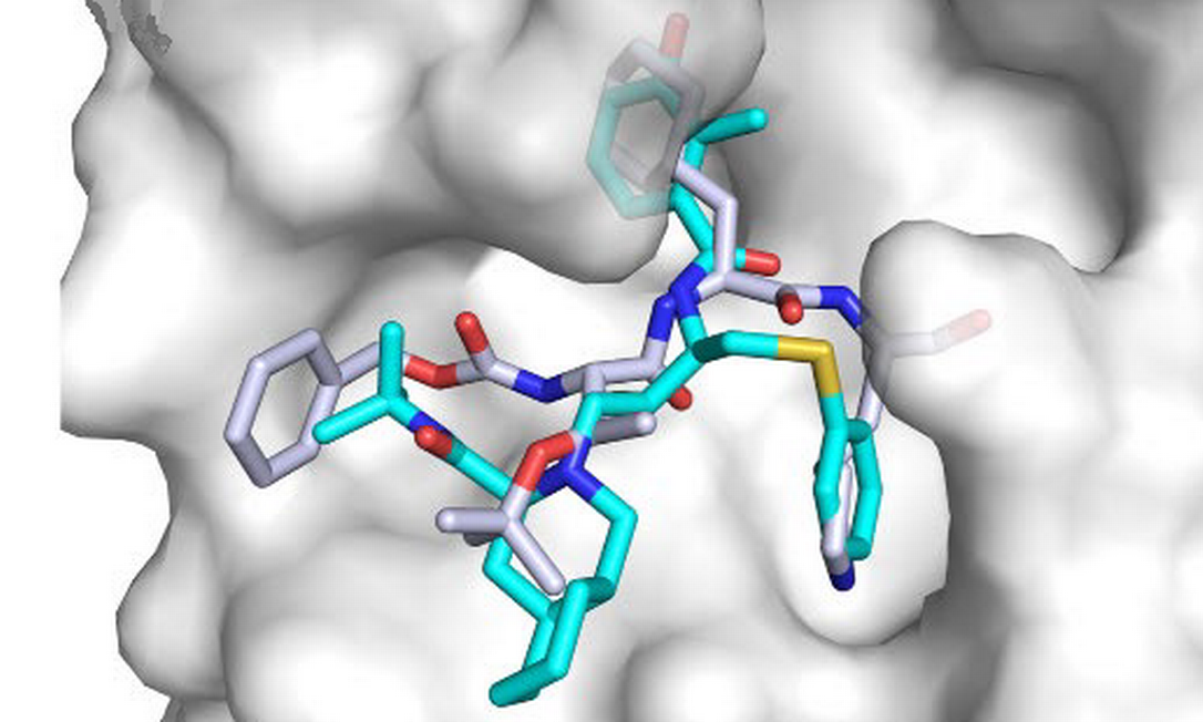 Simulação de computador mostra molécula do antiviral nelfinavir se encaixando em proteína do novo coronavírus 2019-nCoV Foto: Xu et al. / bioRxiv