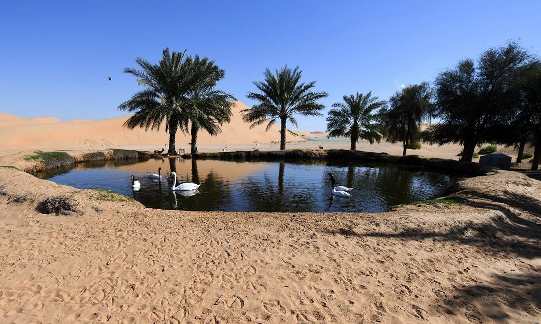 [Side quest Suna] Vida, morte, ovo ou galinha... Tanto faz 86866869_Awans-swim-in-a-small-lake-in-the-desert-oasis-of-Al-Ain-in-the-United-Arab-Emirates-on-Feb