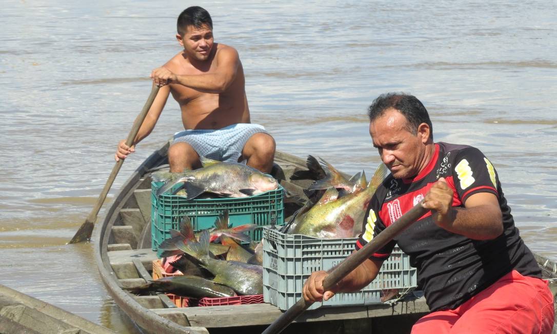Pescadores na margem do rio Madeira, Amazonas Foto: Rangel Santos