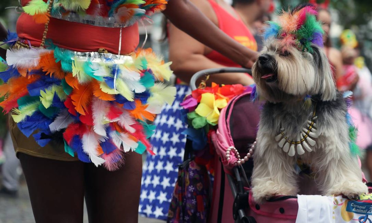 Tinha índio de todas as tribos, inclusive da canina Foto: SERGIO MORAES / REUTERS