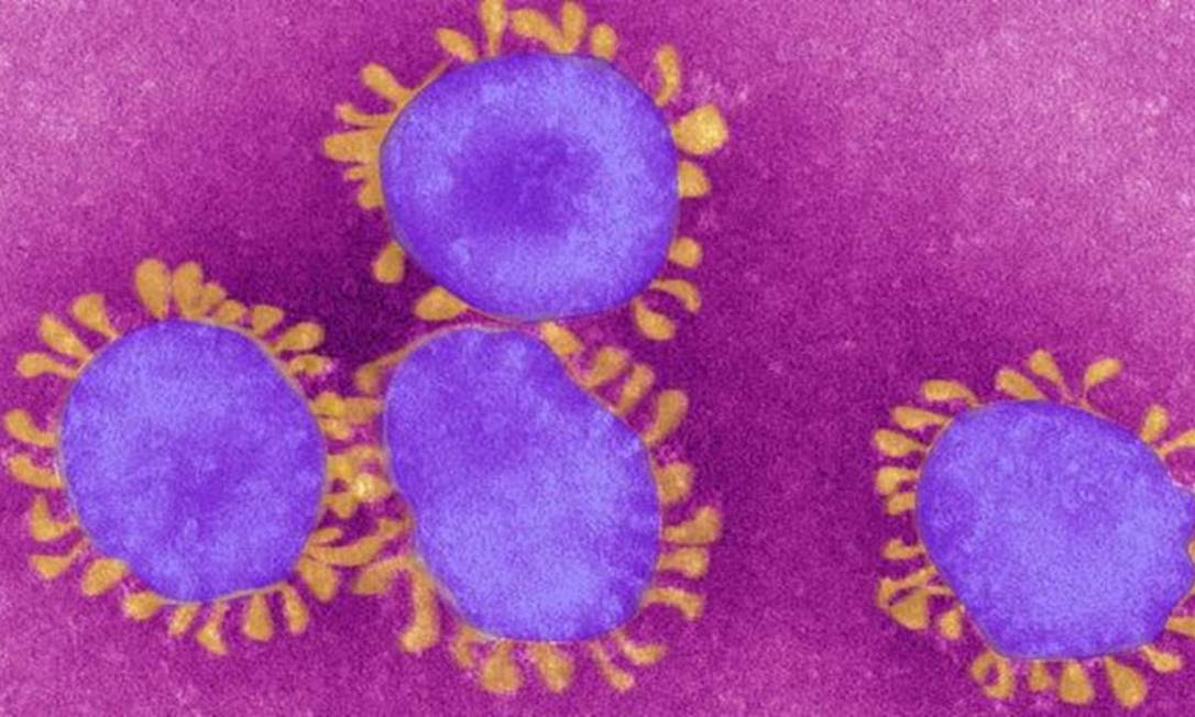 É assim que o coronavírus é visto no microscópio Foto: Getty Images