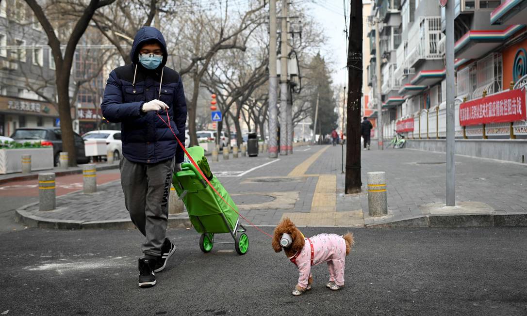 Um homem passeia com seu cachorro, ambos usando máscaras contra o coronavírus, em Pequim, na China; caso de animal contaminado em Hong Kong disparou medidas de segurança Foto: STR / AFP