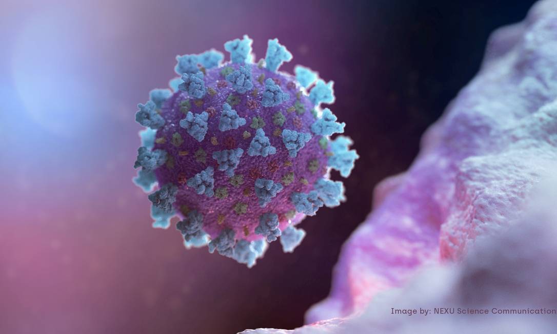 Imagem feita no computador do novo coronavírus Foto: NEXU Science Communication / via REUTERS