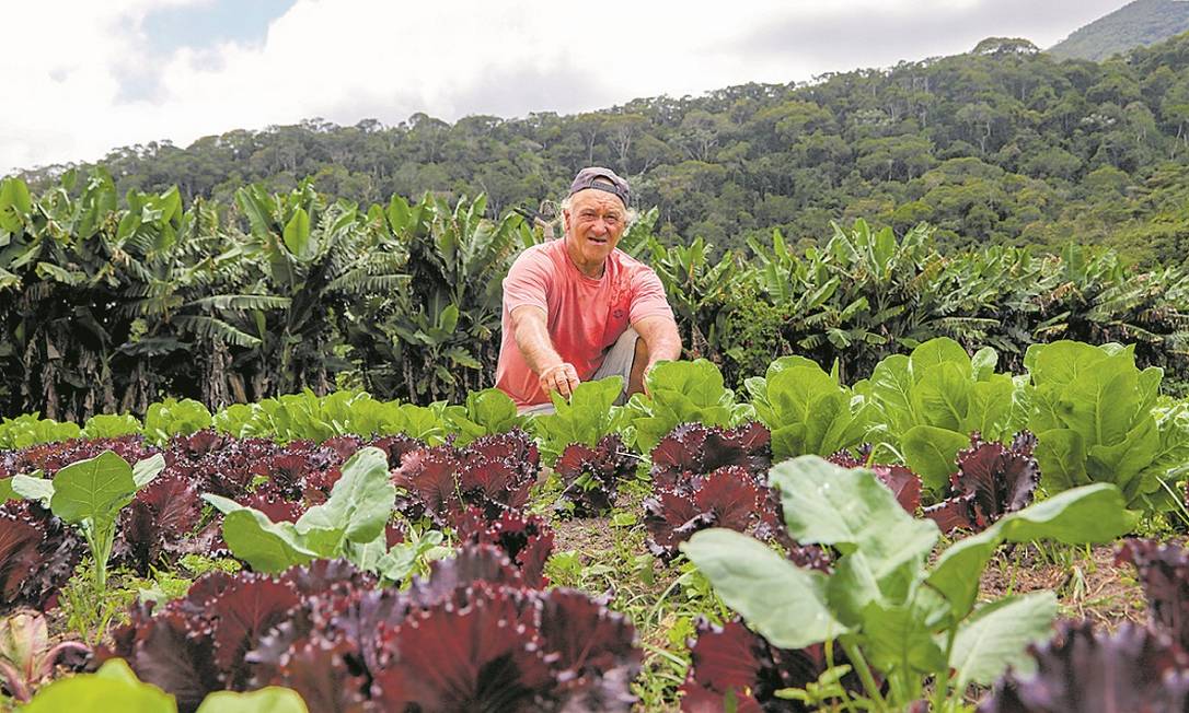 O sítio do agricultor Levi Gonçalves, um dos pioneiros na produção de orgânicos na zona rural de Petrópolis, faz parte do circuito turístico do Brejal Foto: Marcelo de Jesus / Agência O Globo