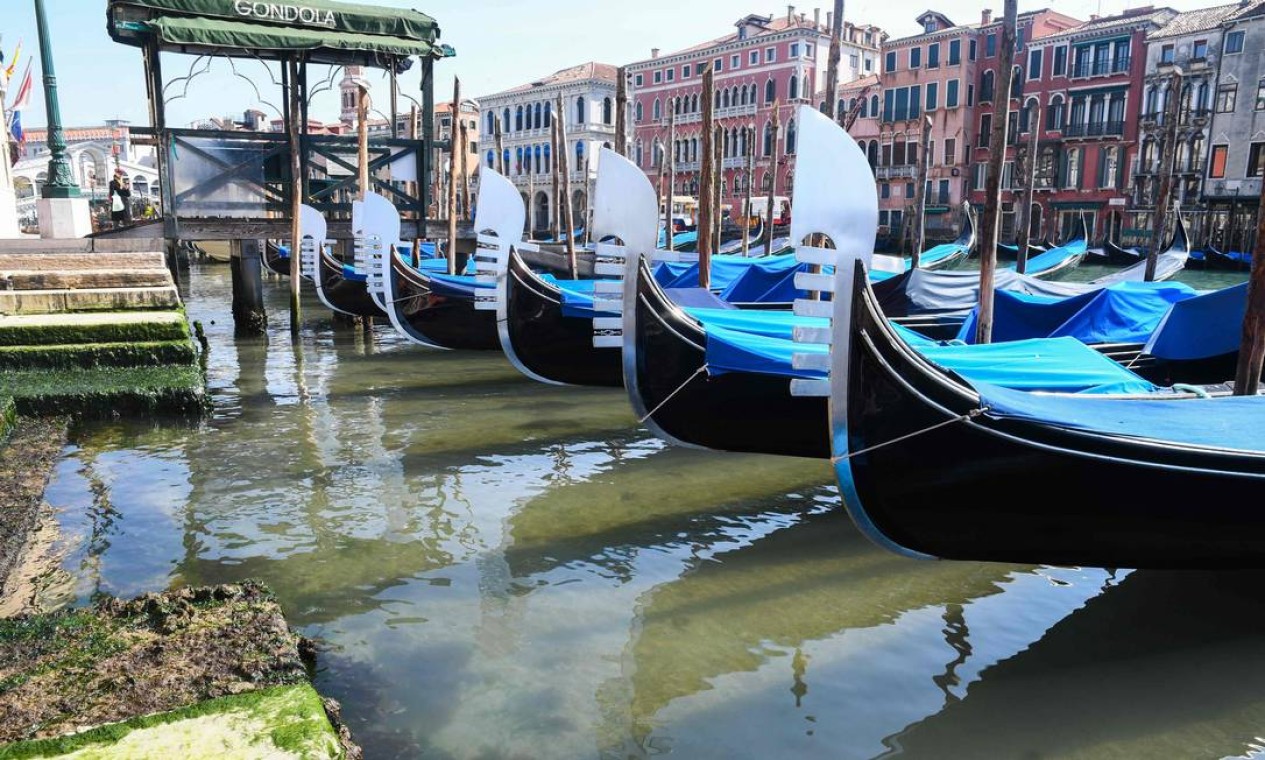 Março - Grande Canal de Veneza é visto com águas cristalinas perto da Ponte Rialto, devido ao bloqueio para enfrentar a pandemia do coronavírus na Itália, o primeiro epicentro da doença depois da Ásia Foto: Andrea Pattaro / AFP - 17/03/2020