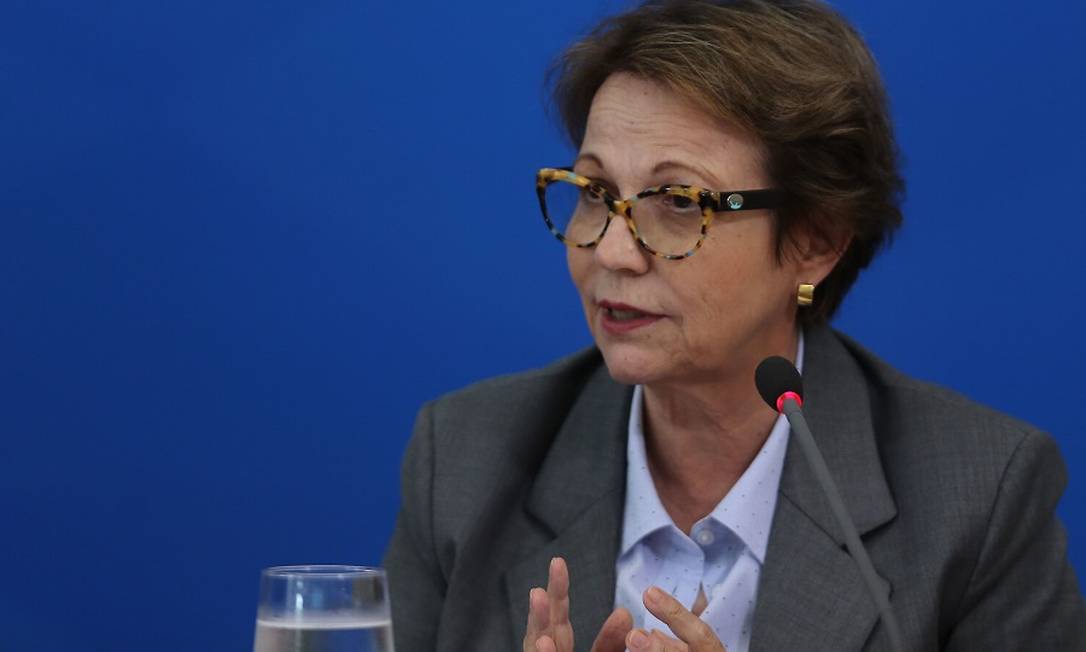 A ministra da Agricultura, Tereza Cristina. Foto: Jorge William / Agência O Globo