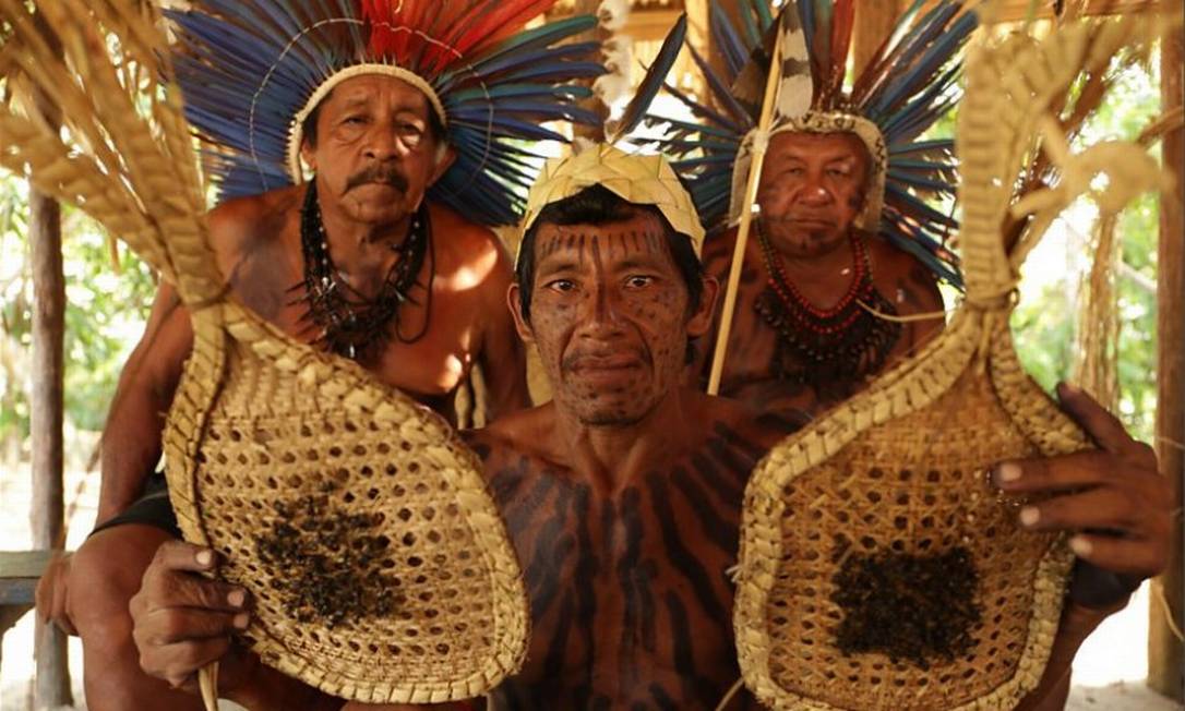 O povo Sateré Mawé é conhecido como um dos descobridores do guaraná e por seu ritual com as terríveis formigas tucandeiras, que representa a transição da infância para a vida adulta dos homens Foto: Reprodução