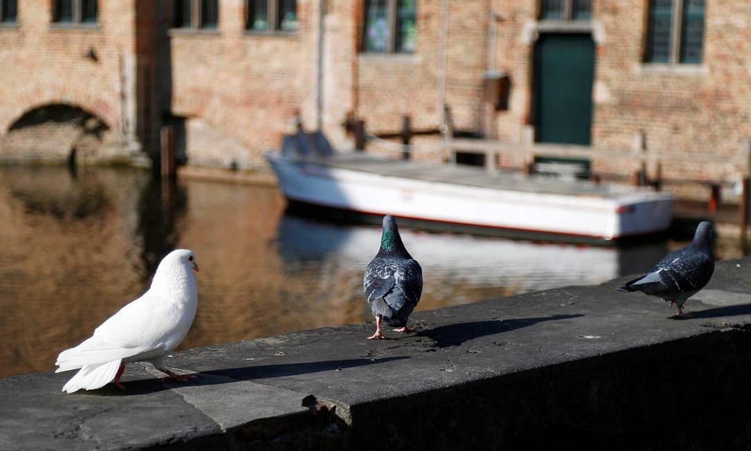 Apenas só os pombos ocupam alguns dos lugares antes lotados de turistas Foto: Francois Lenoir / Reuters