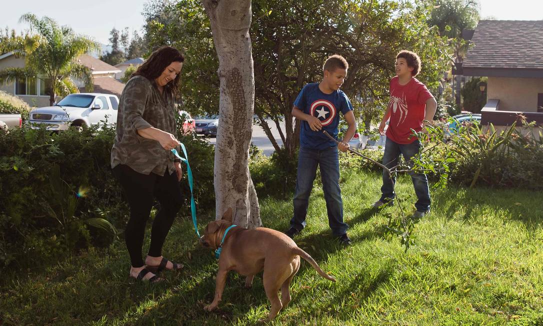 Jalene Hillery e os filhos, Desean e Delonte, brincam com o pitbull Mase, adotado há uma semana pela família, que vive em Escondido, nos Estados Unidos Foto: ARIANA DREHSLER / AFP