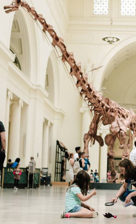 Máximo, o titanossauro que é uma das estrelas do Field Museum, em Chicago Foto: Choose Chicago / Reprodução