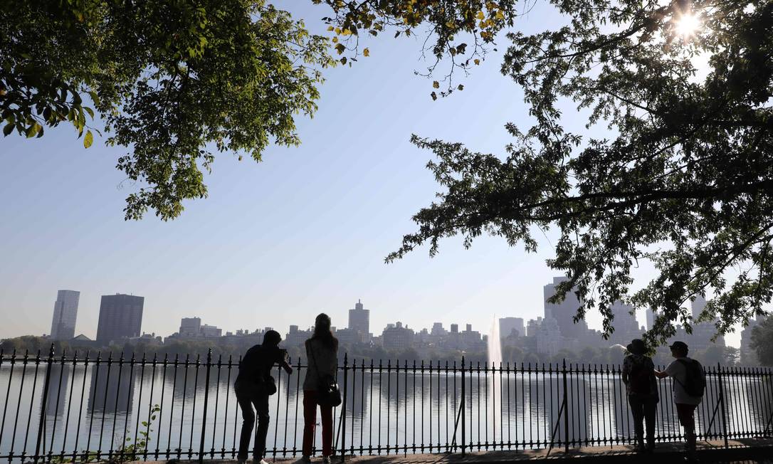Vista do Central Park, onde ocorreu o caso de racismo nesta segunda-feira Foto: LUDOVIC MARIN / AFP