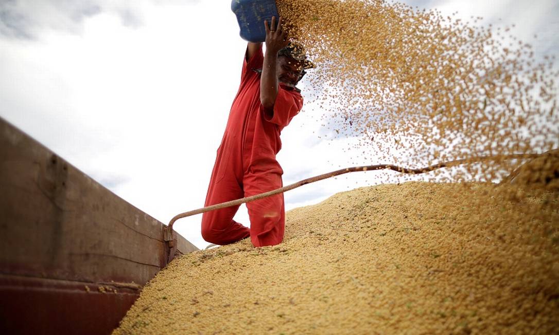 Colheita de soja no Brasil: chineses compram dos EUA mesmo com proibição de Pequim. Foto: Ueslei Marcelino / REUTERS