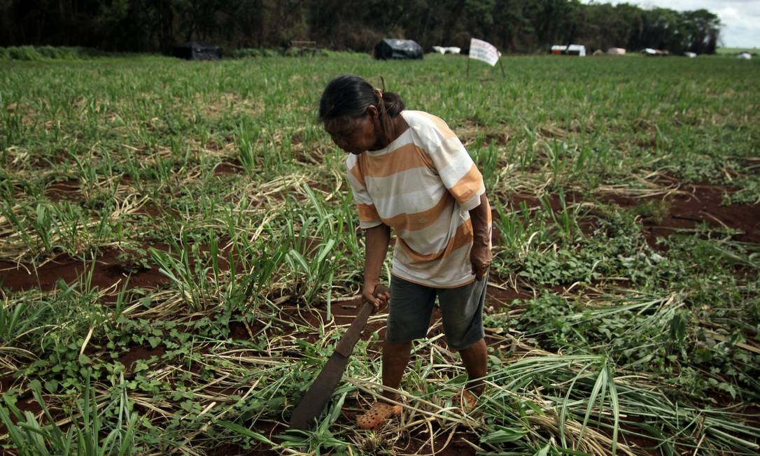 Indígenas do povo Guarani Kaiowá, no Mato Grosso do Sul, enfrentam insegurança alimentar em meio à pandemia Foto: Picasa / CIMI/Agência Porantim