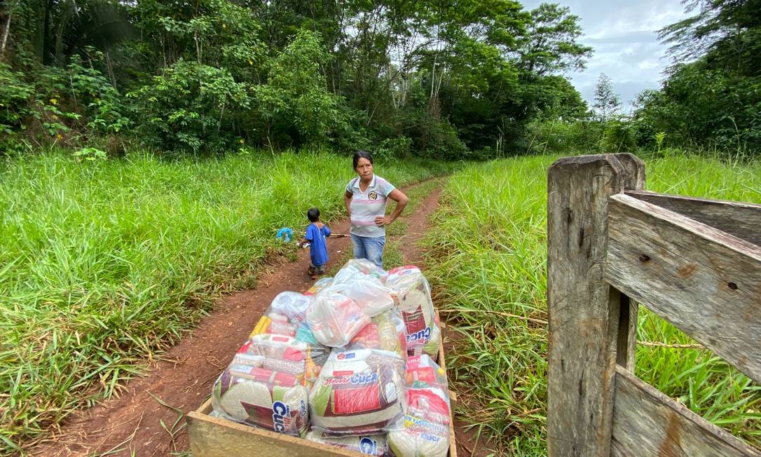 As cestas de alimentos e kits de higiene são entregues nos limites das terras indígenas Foto: Kanindé/Gabriel Uchida