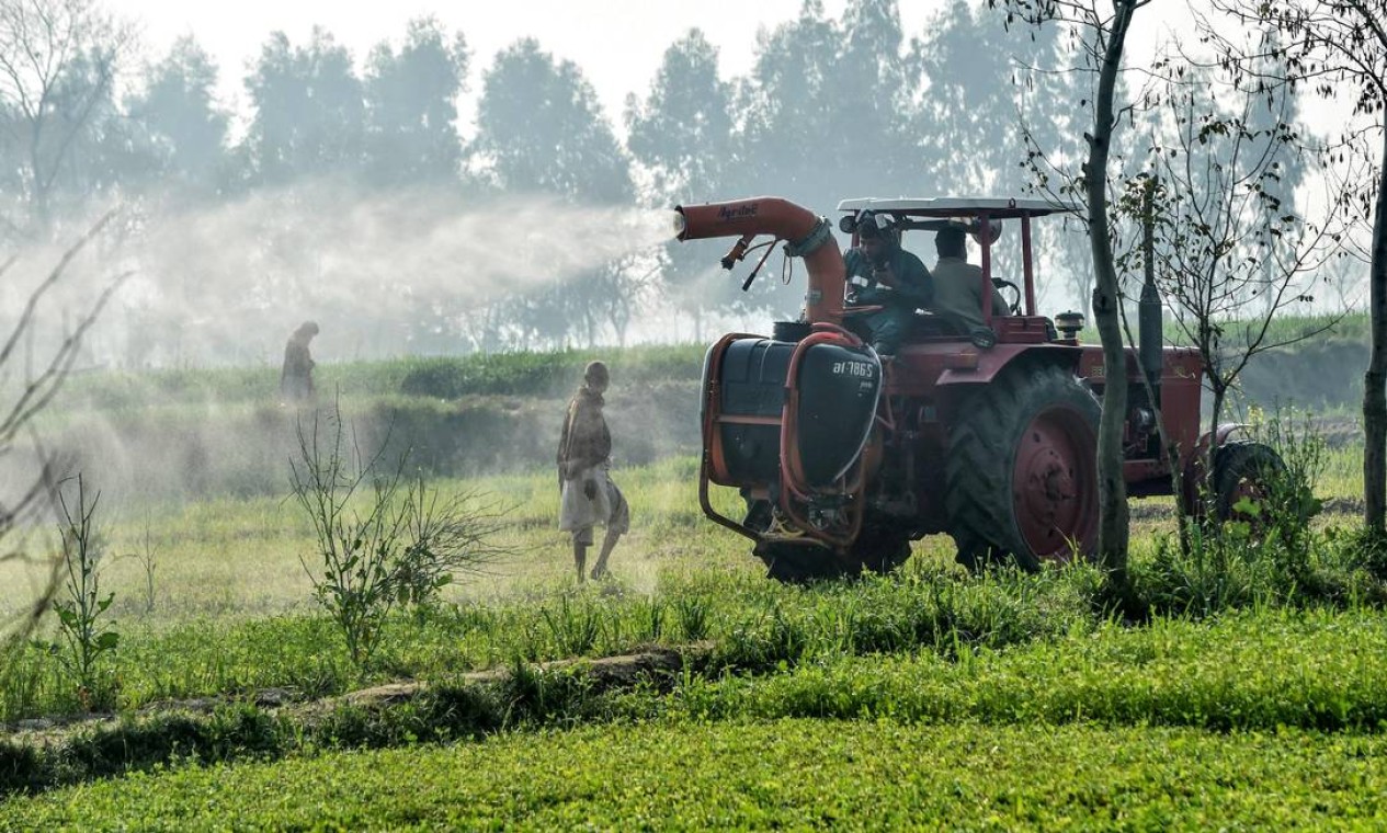 Foto de fevereiro mostra funcionários do departamento de agricultura usando um trator para pulverizar pesticidas para matar gafanhotos em um campo na vila de Pipli Pahar, na província central de Punjab, no Paquistão Foto: ARIF ALI / AFP