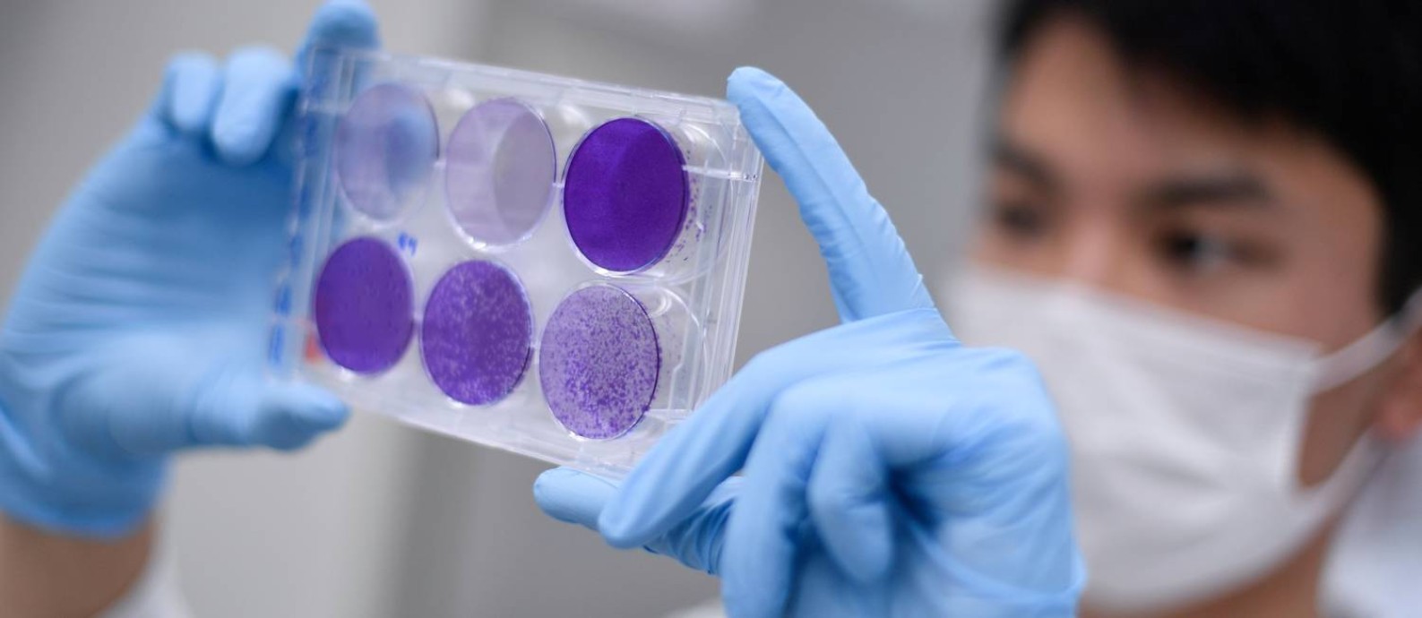 Pesquisador trabalha na replicação do vírus da Covid-19 para pesquisa que vai desenvolver a vacina contra a doença. Foto: DOUGLAS MAGNO / AFP