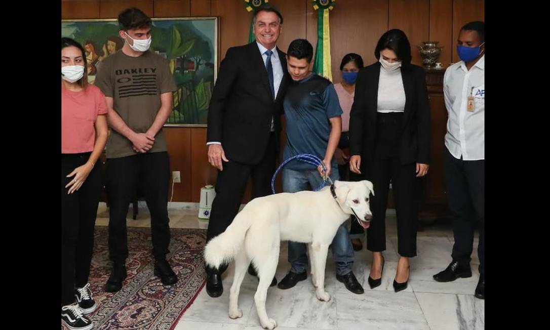 Nagib Zeidan recebe de volta seu cachorro Zeus em encontro com Jair Bolsonaro e Michelle no Palácio do Planalto Foto: Arquivo pessoal