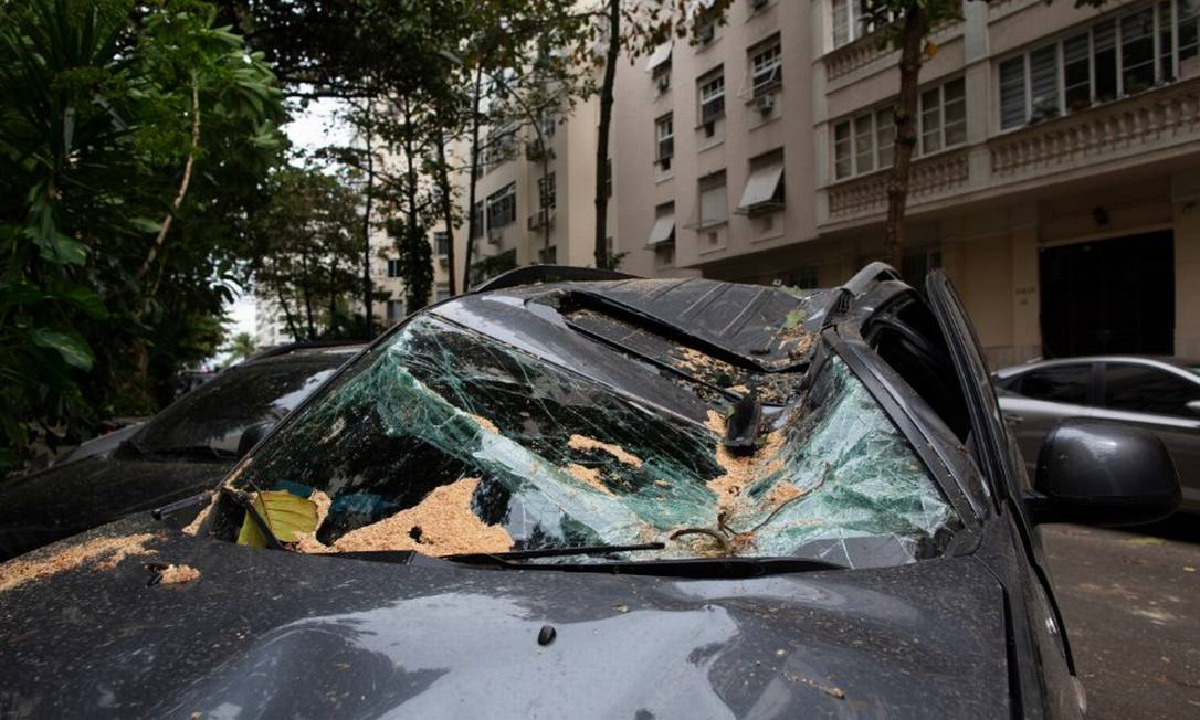 Carro fica destruído após queda de árvore em Ipanema Foto: Márcia Foletto / Agência O Globo