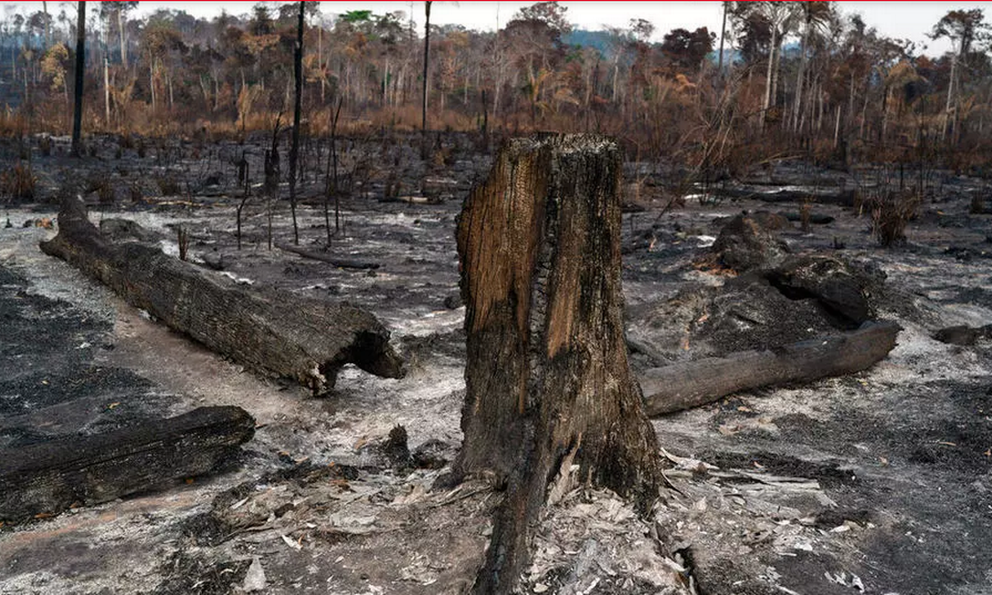 Destaque no jornal Le Monde para a volta das queimadas na Amazônia, que registraram em junho o maior número de focos dos últimos treze anos Foto: AP - Leo Correa