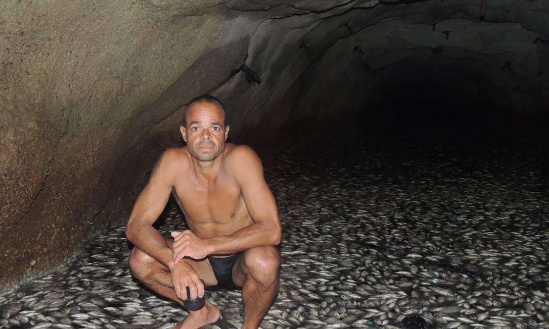 
O ativista ambiental Paulo Oberlander sobre uma pedra dentro do túnel, cercado de peixes mortos.
Foto:
Foto de divulgação
/
Paulo Oberlander
