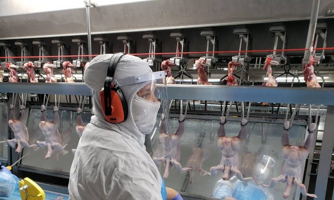 Linha de produção de carnes da JBS: prolemas com a China por temores quanto ao coronavírus Foto: Divulgação