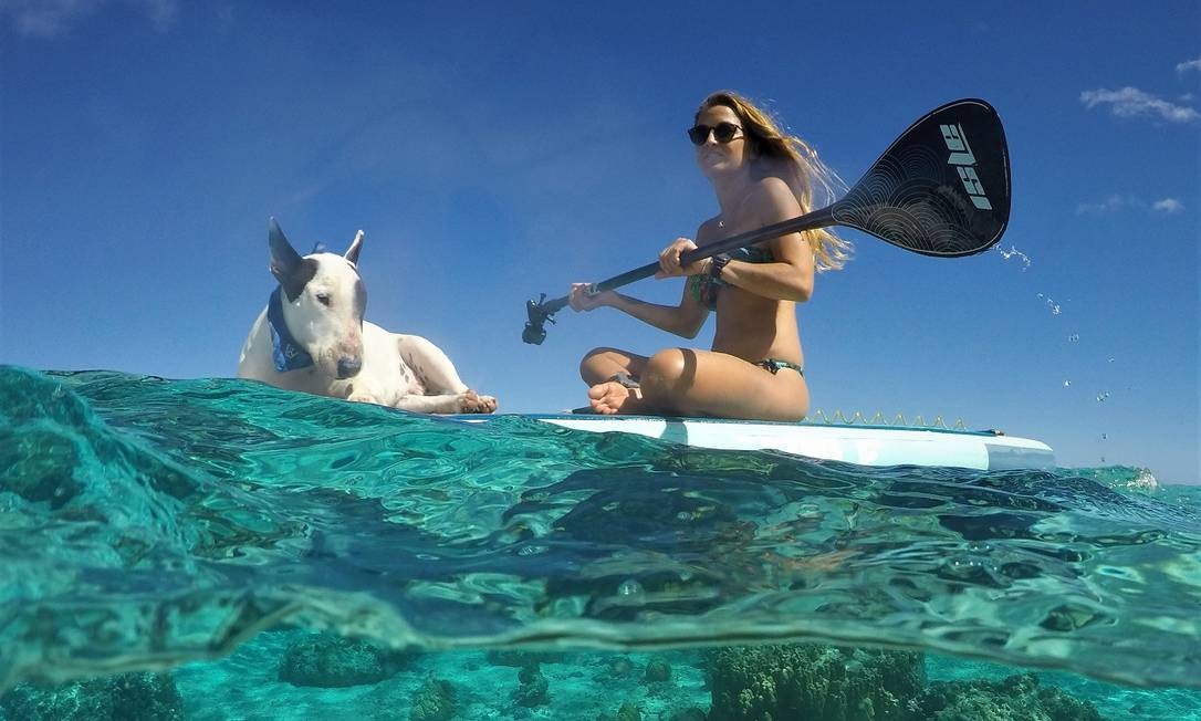 A velejadora Sarah Moreira e o bull terrier Feijão em águas da Polinésia Francesa Foto: Acervo pessoal