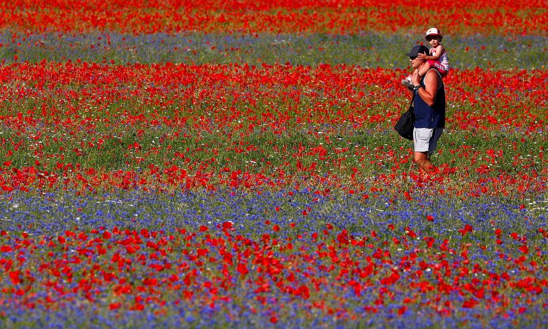 Um homem caminha com seu filho pelo campo de flores e lentilhas de Castelluccio di Norcia, na Úmbria, região central da Itália Foto: GUGLIELMO MANGIAPANE / REUTERS