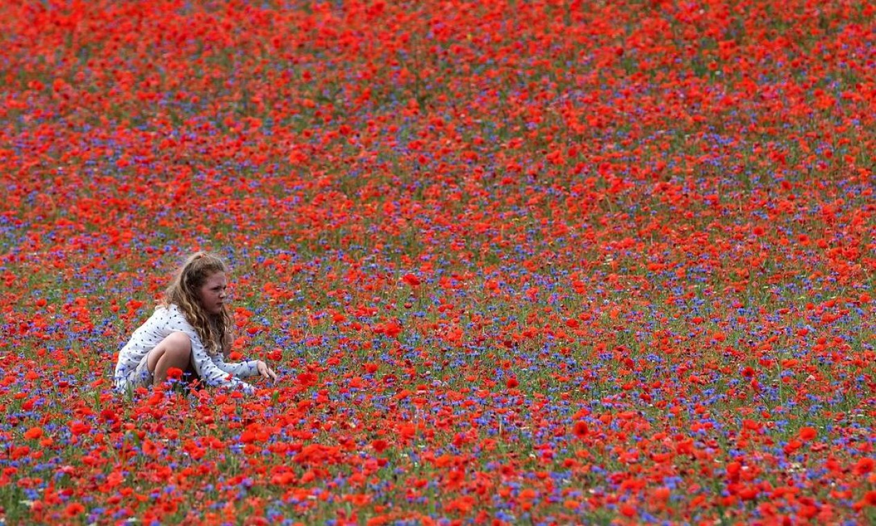 Menina visita os campos floridos de Castelluccio di Norcia, na Úmbria, região central da Itália Foto: TIZIANA FABI / AFP