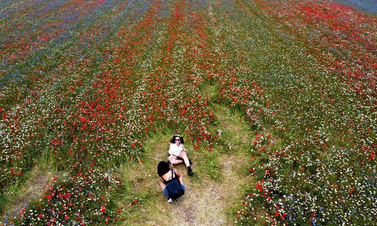 Conhe a Castelluccio O Vilarejo Na It lia Cercado De Flores Por Todos conhe-a-castelluccio-o-vilarejo-na-it-lia-cercado-de-flores-por-todos