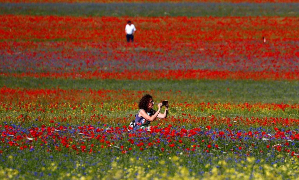 Turista fotografa os campos floridos de Castelluccio di Norcia, na Úmbria, região central da Itália Foto: GUGLIELMO MANGIAPANE / REUTERS