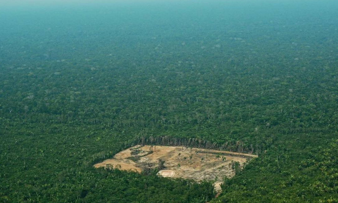 Área desmatada em meio à floresta amazônica. Foto: Carl de Souza / AFP