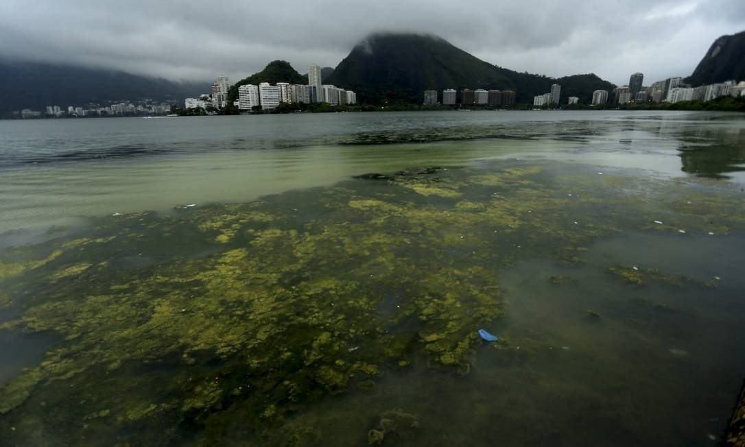 Lagoa Rodrigo de Freitas, no Rio de Janeiro Foto: Marcelo Theobald/Agência O Globo